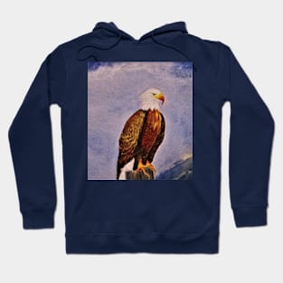 Bald Eagle Hoodie